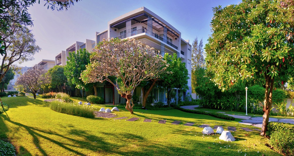 garden